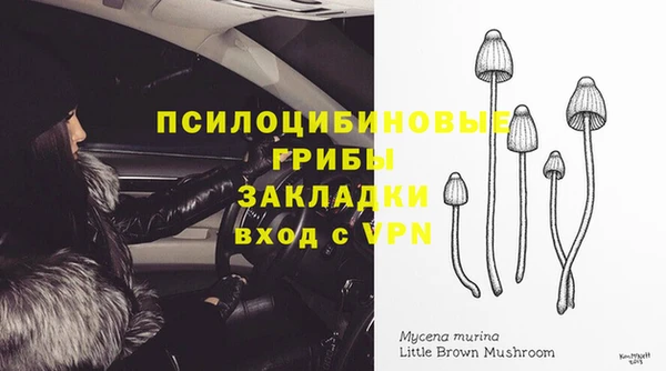 стаф Лагань