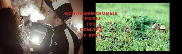 не бодяженный Липки